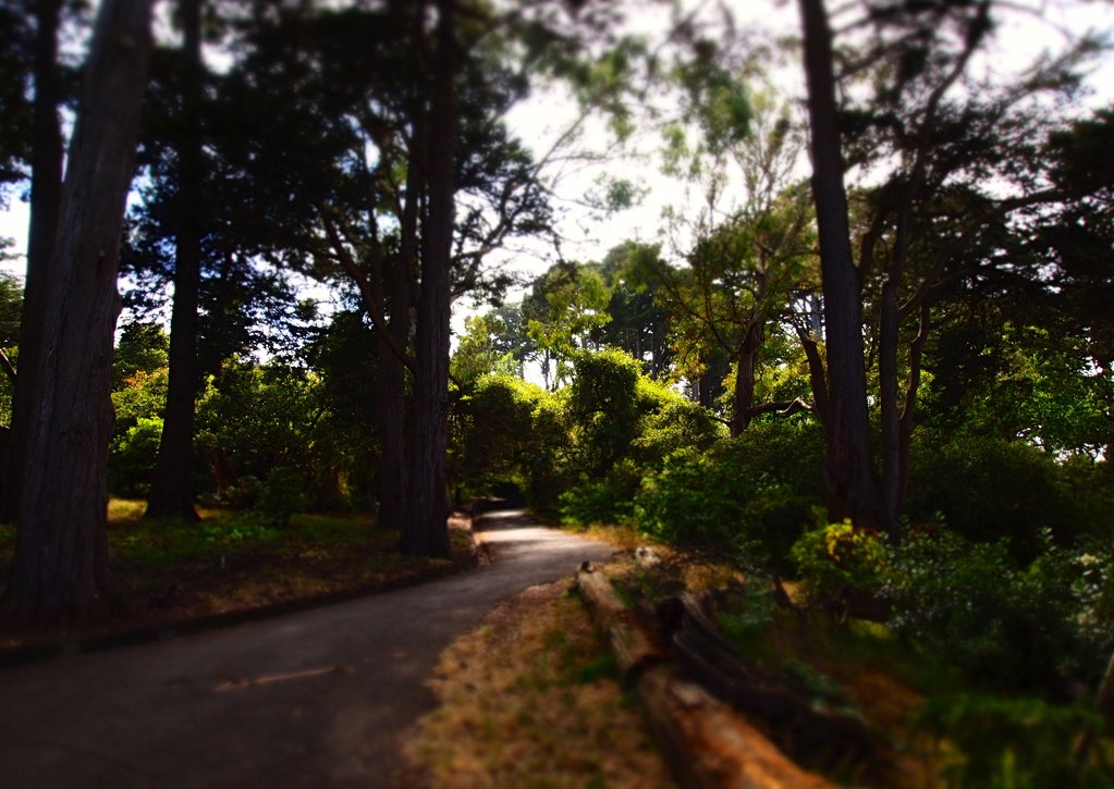Buena Vista Park. Photo: apasciuto/Flickr.