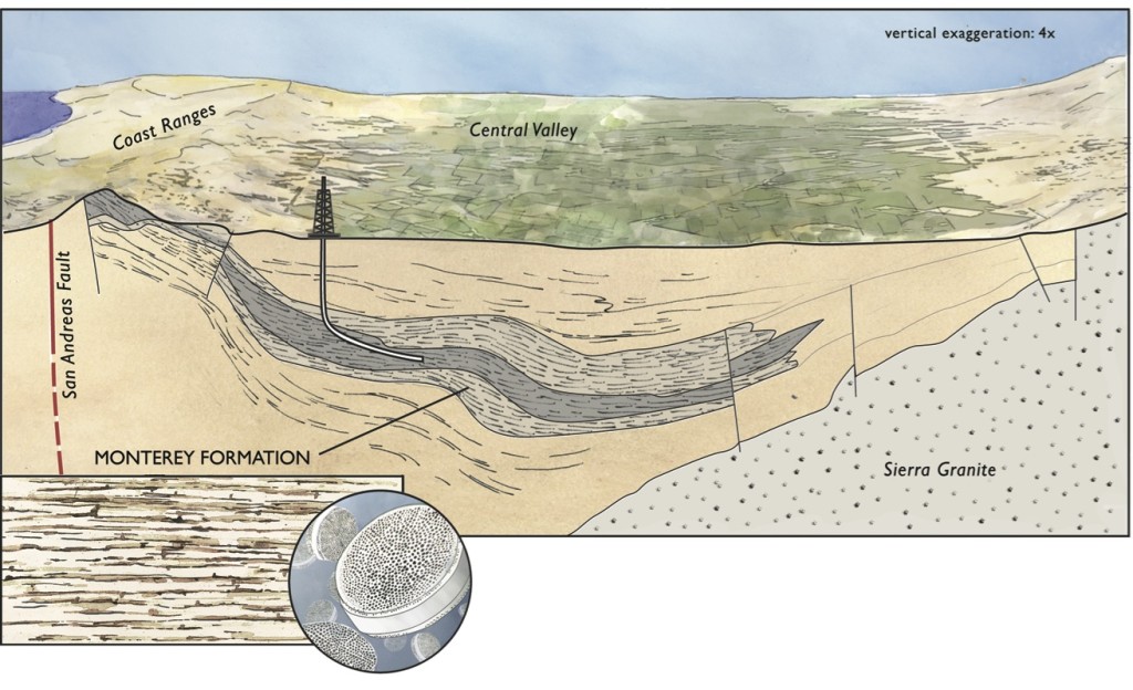 The Monterey Formation, showing hydraulic fracturing and tiny diatoms that decompose into oil. Illustration: Emily Underwood.