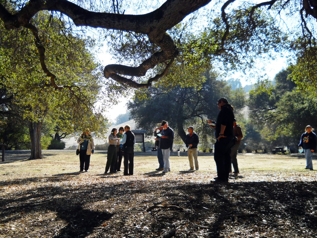 Jill Miller (second from left) helps park-goers identify the native oaks while participants collect  acorns under a coast valley oak