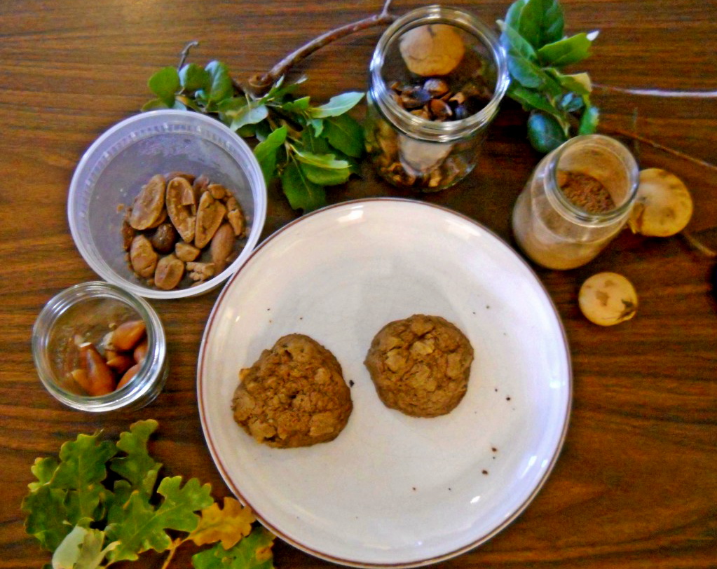 Clockwise starting from lower left: valley oak leaves; valley oak acorns; shelled, leached acorns; coast live oak leaves; coast live oak acorns; valley oak flour; oak apples (galls); cookies made with valley oak powdered acorns. Photo: Emily Moskal.