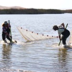 fish researchers dragging a net