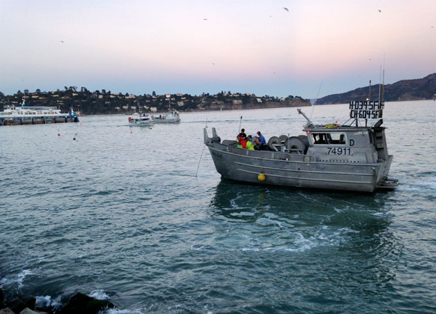 Herring fishermen set their nets off Sausalito early Sunday morning as the fish surged into Richardson Bay to spawn. (Photo by David Loeb)