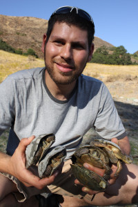 Matthew with western pond turtles