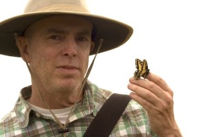 Liam O'Brien and a Swallowtail butterfly