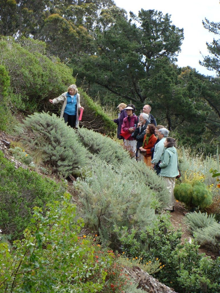 Jeanne Halpern showing tour participants around her hillside native plant garden bordering  the Glen Canyon natural area, during the San Francisco garden tour. Photo: Margo Bors. 