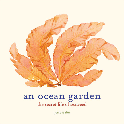 An Ocean Garden: The Secret Life of Seaweed