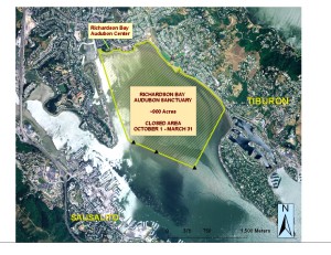Richardson Bay Audubon Center & Sanctuary waters are closed to motorized and human-powered boats through March 31.