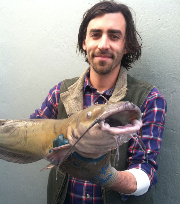 All of These Monster Invasive Fish Came Out of One Small San Francisco Lake  