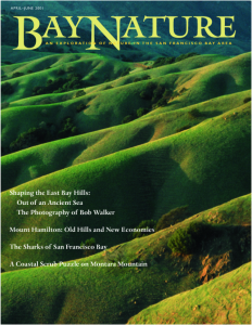 April 2001 cover of Bay Nature magazine