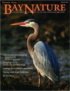 inaugural issue of Bay Nature magazine, 2001