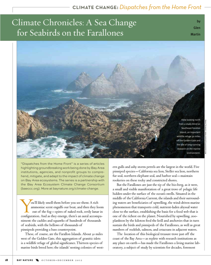 Oct. 2012 Bay Nature article: Sea Change for Seabirds