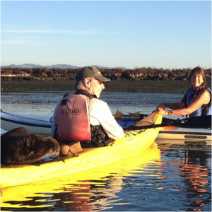 Sea otter hitchhiking on BN publisher David Loeb's kayak