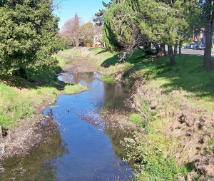 Pinole Creek