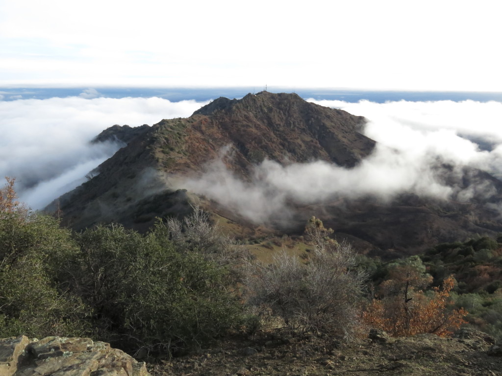 Mount Diablo after the fire. Photo courtesy of Heath Bartosh.