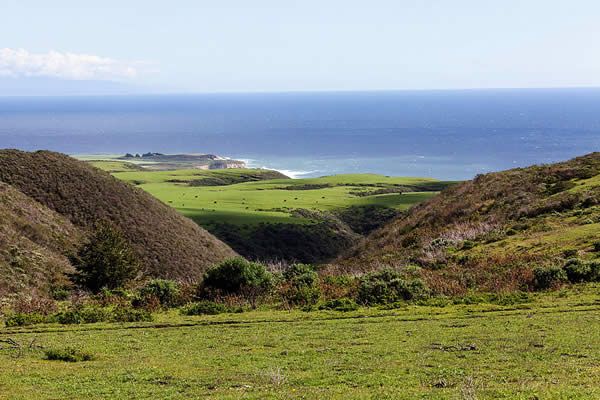 A stunning view from Coast Dairies land looking out over the green pastures, coastal bluffs and the ocean beyond. Photo by Jim Pickering/BLM.