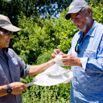 Dr. Gordon Frankie and a volunteer collect their findings at the Sonoma Bee Count, a local citizen science