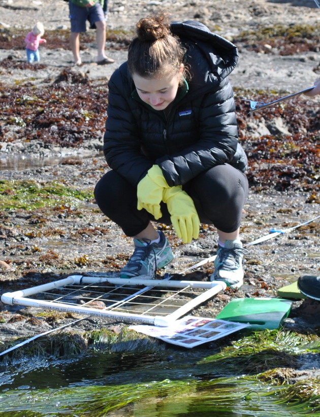 A. Rainsford at the Duxbury Reef Monitoring Site.  Photo by Sabine Bergmann, 2014.