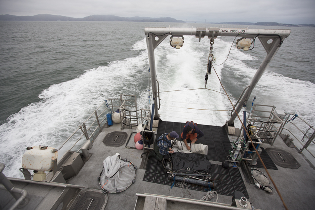 The Fulmar cruises offshore. (Photo by Jason Jaacks)
