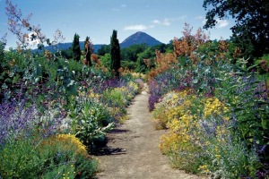 California native plants, plus Mediterranean plants at the former Fetzer garden - fragrant and filled with the activity of insects.