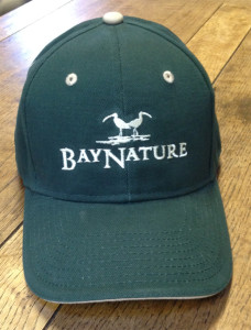 Bay Nature's sturdy forest green cap