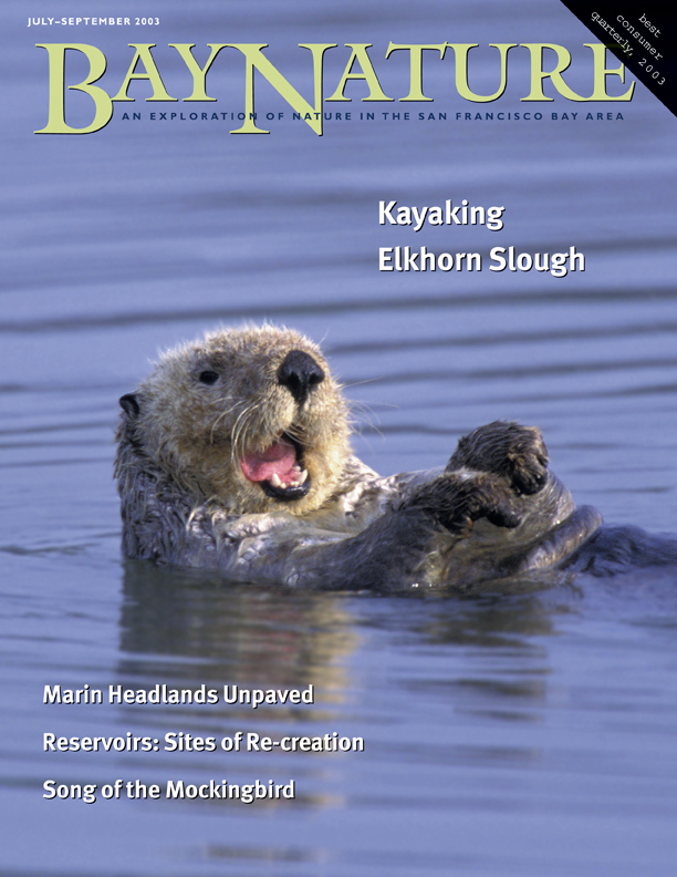 Bay Nature Jul-Sept 2003 cover - sea otter