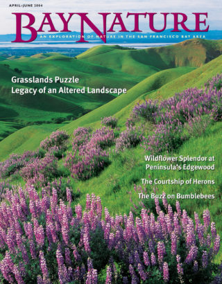 Apr-Jun 2004 cover