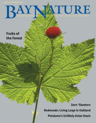 Bay Nature Jul-Sept 2004 cover