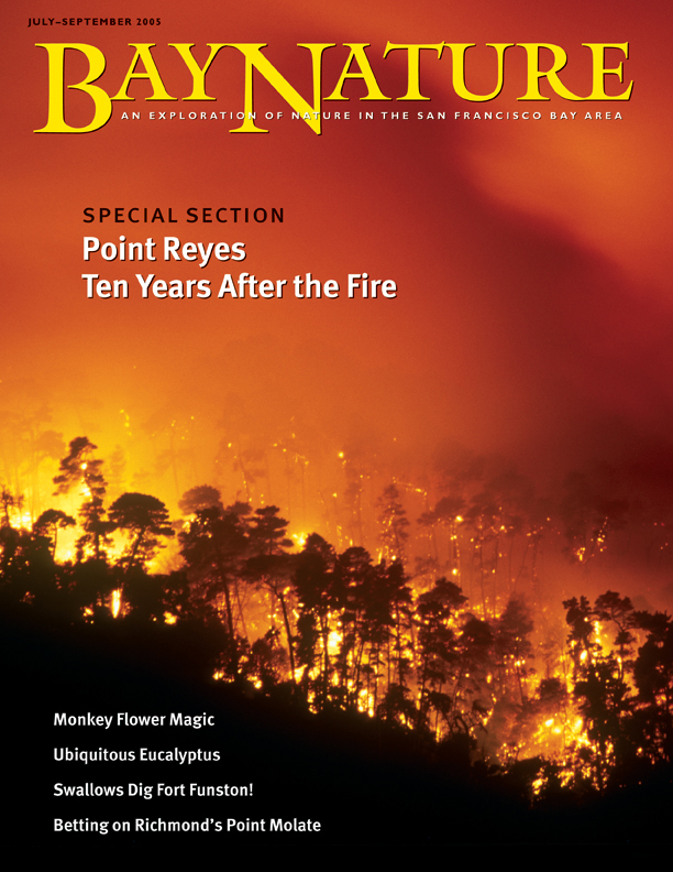 July-Sept 2005 cover