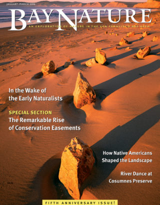 Bay Nature Jan-Mar 2006 cover