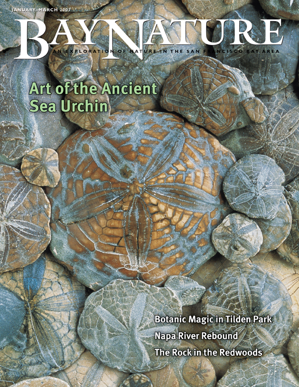 Jan-Mar 2007 cover