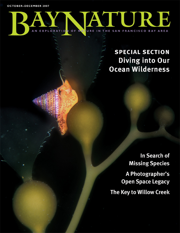 Oct-Dec 2007 issue cover