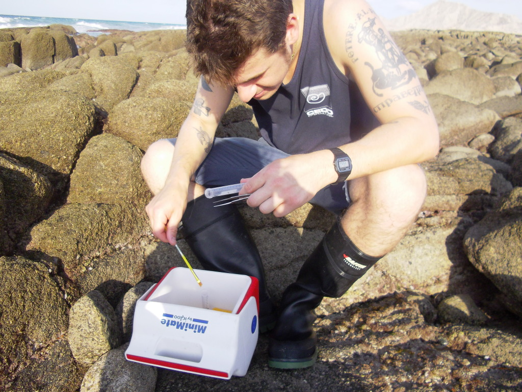 Master's student Adam Paganini collecting porcelain crabs at Fort Ross. 