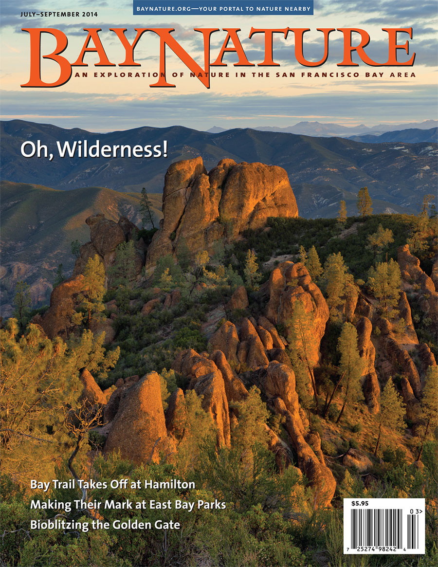 Bay Nature Jul-Sept 2014 cover