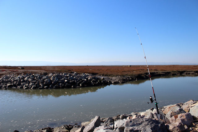 A quiet fishing pole. (Photo by Jim Hobbs)