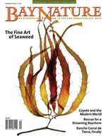 January-March 2015 cover