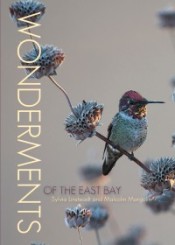 Wonderments of the East Bay cover