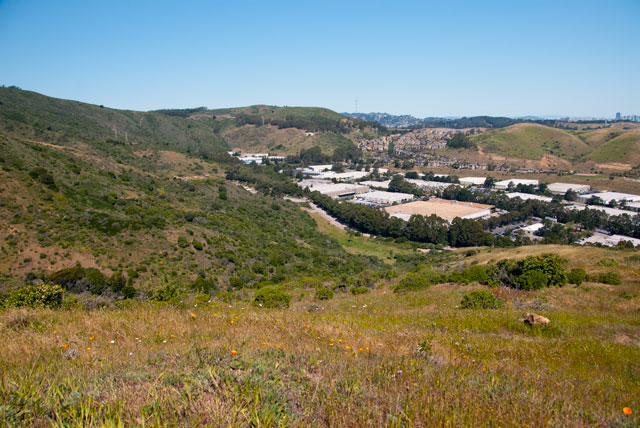 The view north from San Bruno Mountain. 