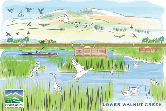 An artist's rendering depicts the potential future for lower Walnut Creek as a recreation and wildlife hub, following the implementation of Flood Control 2.0. (Courtesy Contra Costa County Flood Control)