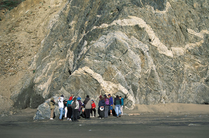 People on a geology field trip try to make sense of the beautiful but "tortured" granitics at Kehoe and the bold white dikes that cut through them. (Photo by John Karachewski)