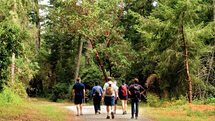 Hikers on the Fifield-Cahill Trail. (Photo by)