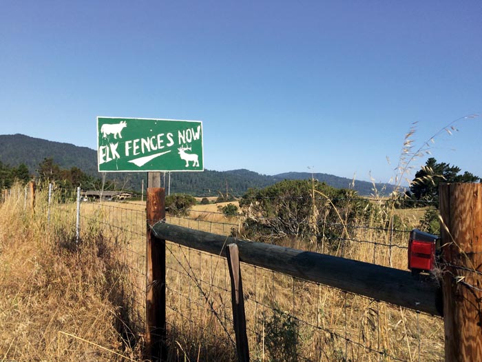 "Elk Fences Now." (Photo by Alison Hawkes)