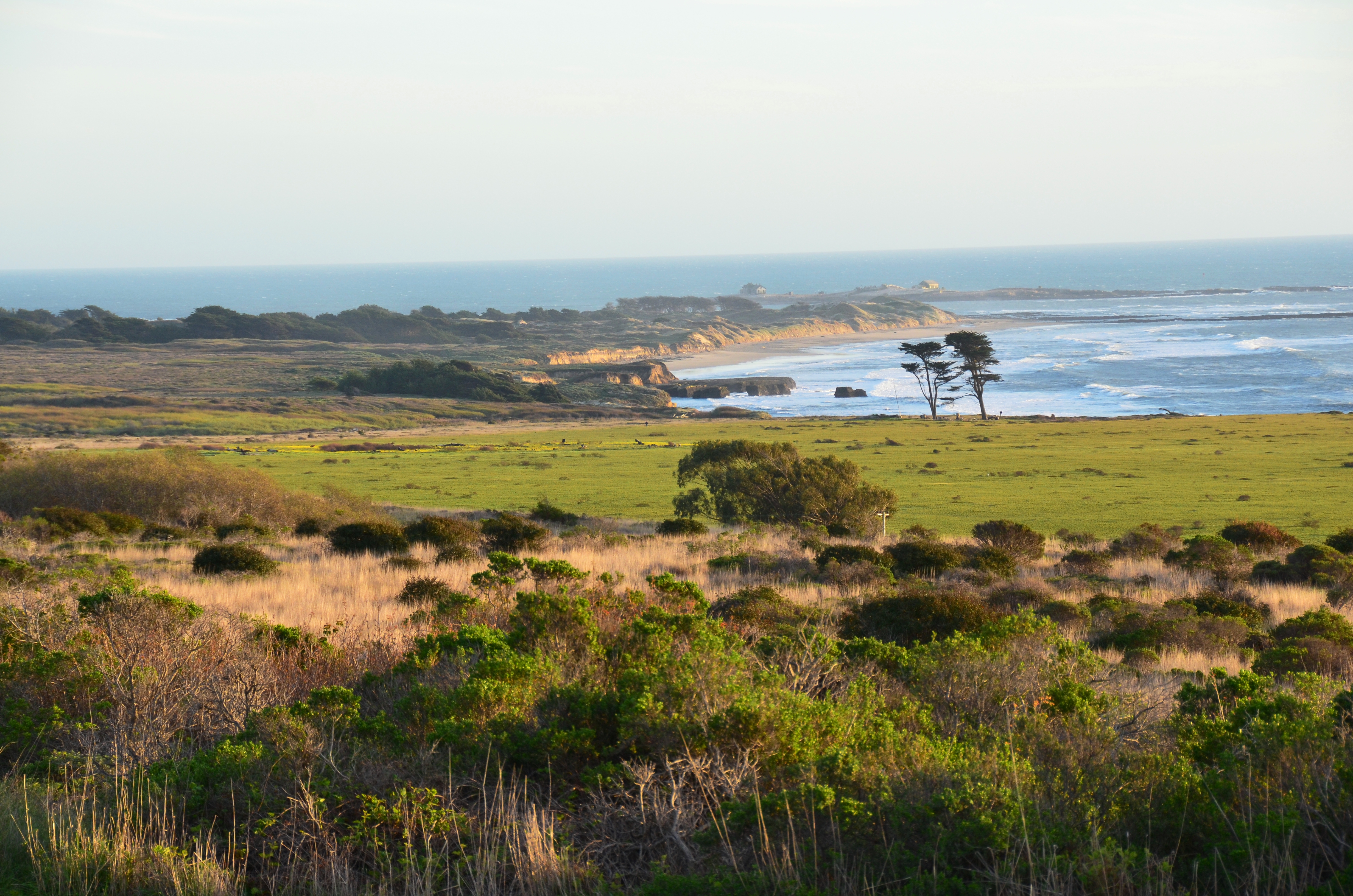 A view of the Quiroste Valley to Año Nuevo Point includes the scrub-dominated slope in the foreground and the grassland prairie — site of a recently controlled burn — behind. 