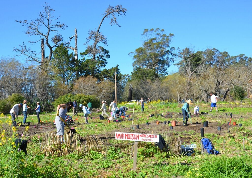 In February 2016, members of the Amah Mutsun Tribal Band and other volunteers assembled to create the Amah Mutsun Native Plant Garden at Pie Ranch near Pescadero. Photo: Sally Rae Kimmel