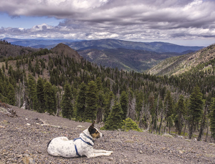 A view north from the saddle between Snow Mountain West and Snow Mountain East. (Photo by Chris Tarp)