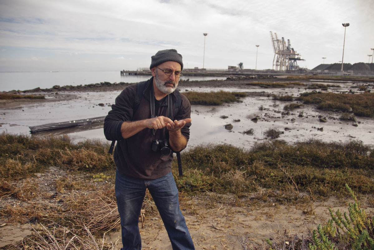 Coastal ecologist Peter Baye inspects the seeds of an endangered sea blite. (Photo by Eric Simons)