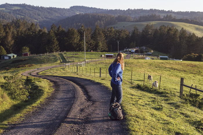 Reporter Sabine Bergmann looks out over the ranch and Salmon Creek watershed. (Photo by Sivani Babu) 