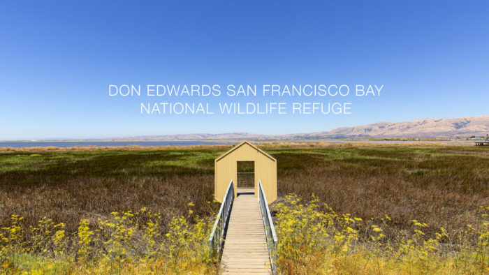 Screen shot from the Don Edwards San Francisco Bay National Wildlife Refuge short film, released October 16. (Photo courtesy Tandem Stills + Motion)