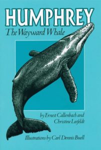 "Humphrey the Wayward Whale" tells the true tale and adventures of Humphrey, a humpback whale who wandered seventy miles into the San Francisco Bay in 1985. By Ernest Callenbach and Christine Leefeldt.