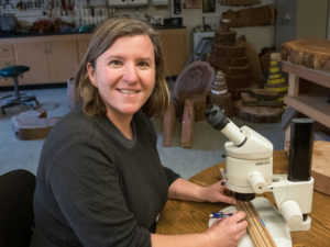 Humboldt State University dendrochronologist Allyson Carroll, sitting at a microscope with coast redwood core samples in the Institute for Redwood Ecology. (Photo by Lucy Kang)