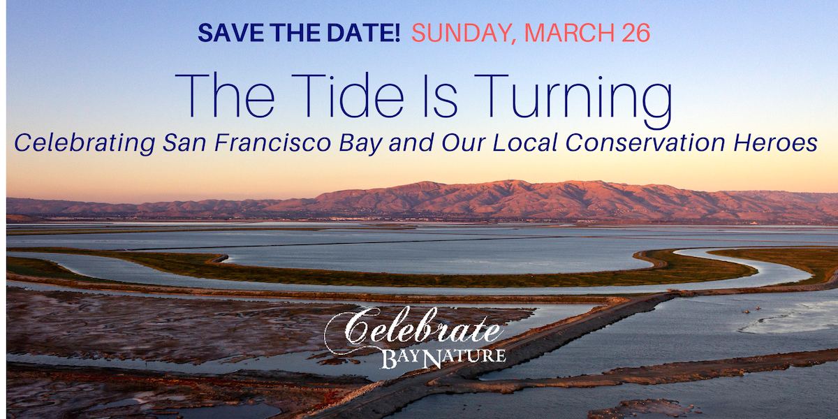 thetideisturning_1200px